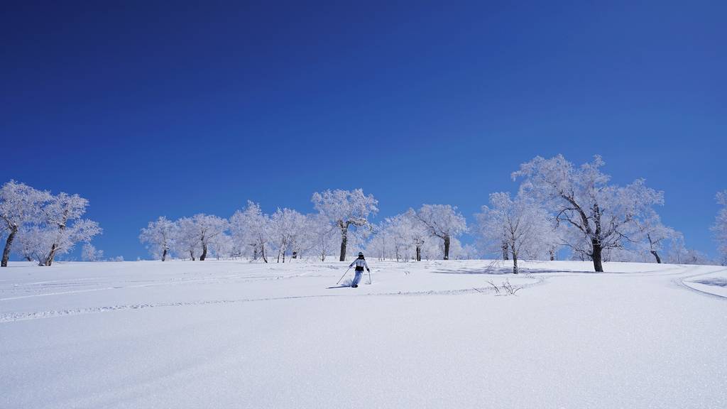 北海道スキー特集