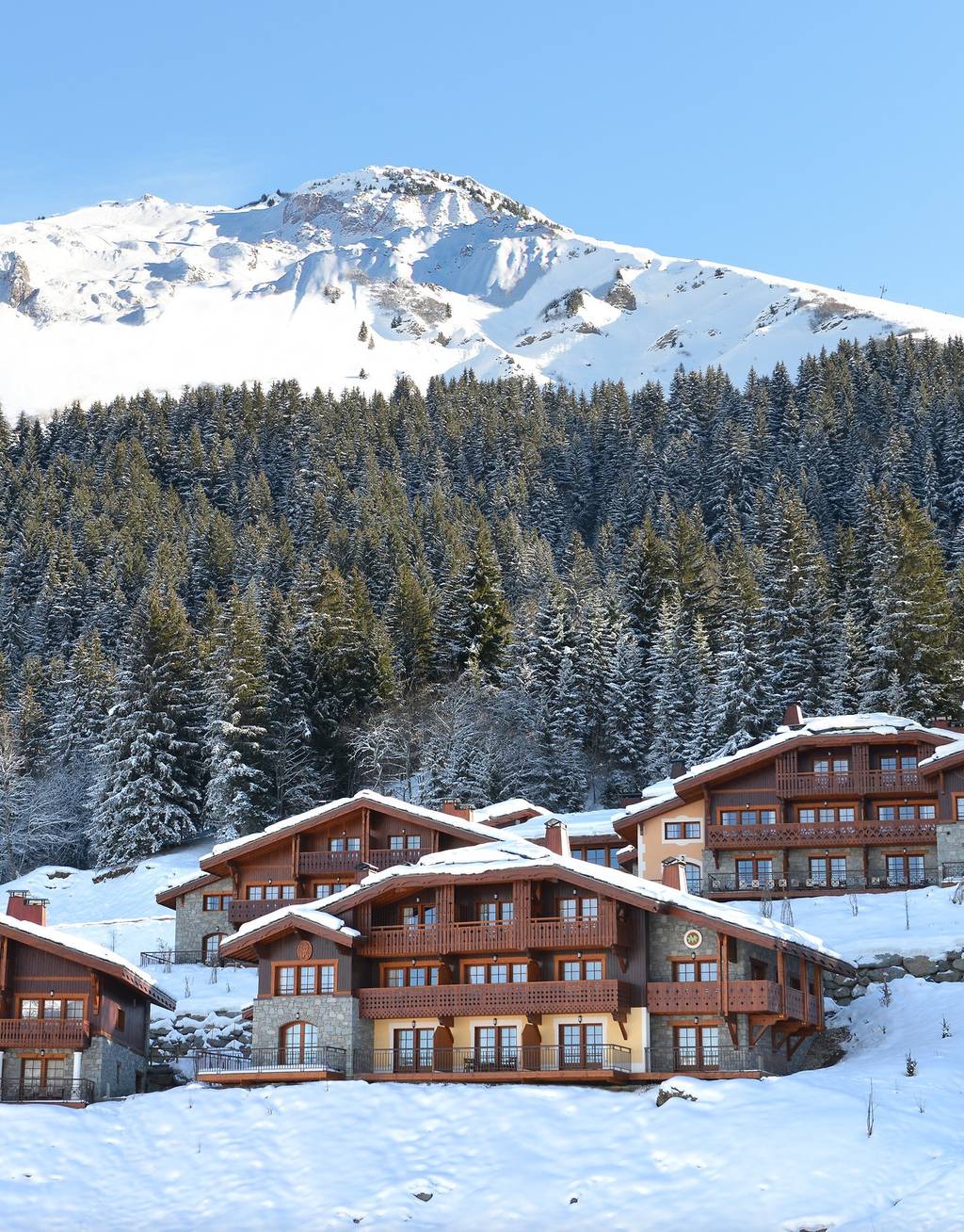 Les Appartements-Chalets de Valmorel