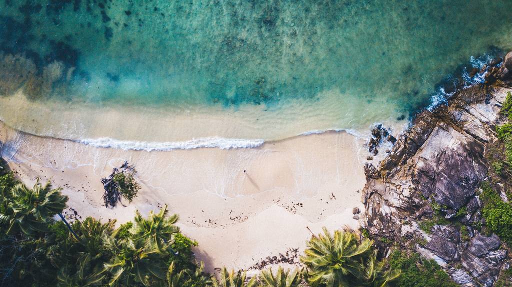 The  seychelles