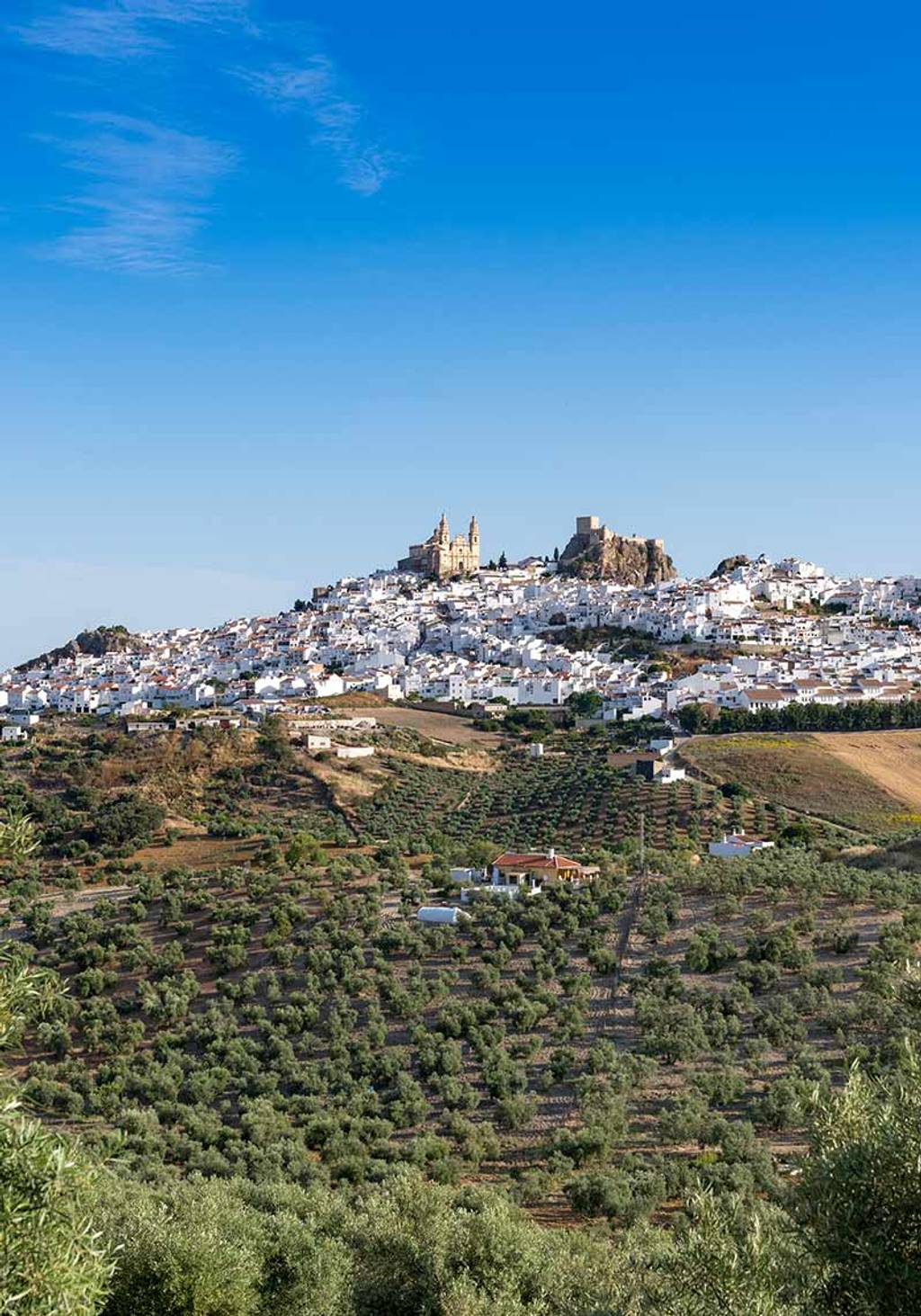 Spain